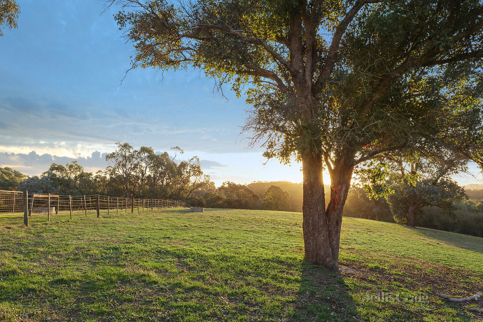 55-57 Dudley Road, Wonga Park image 2