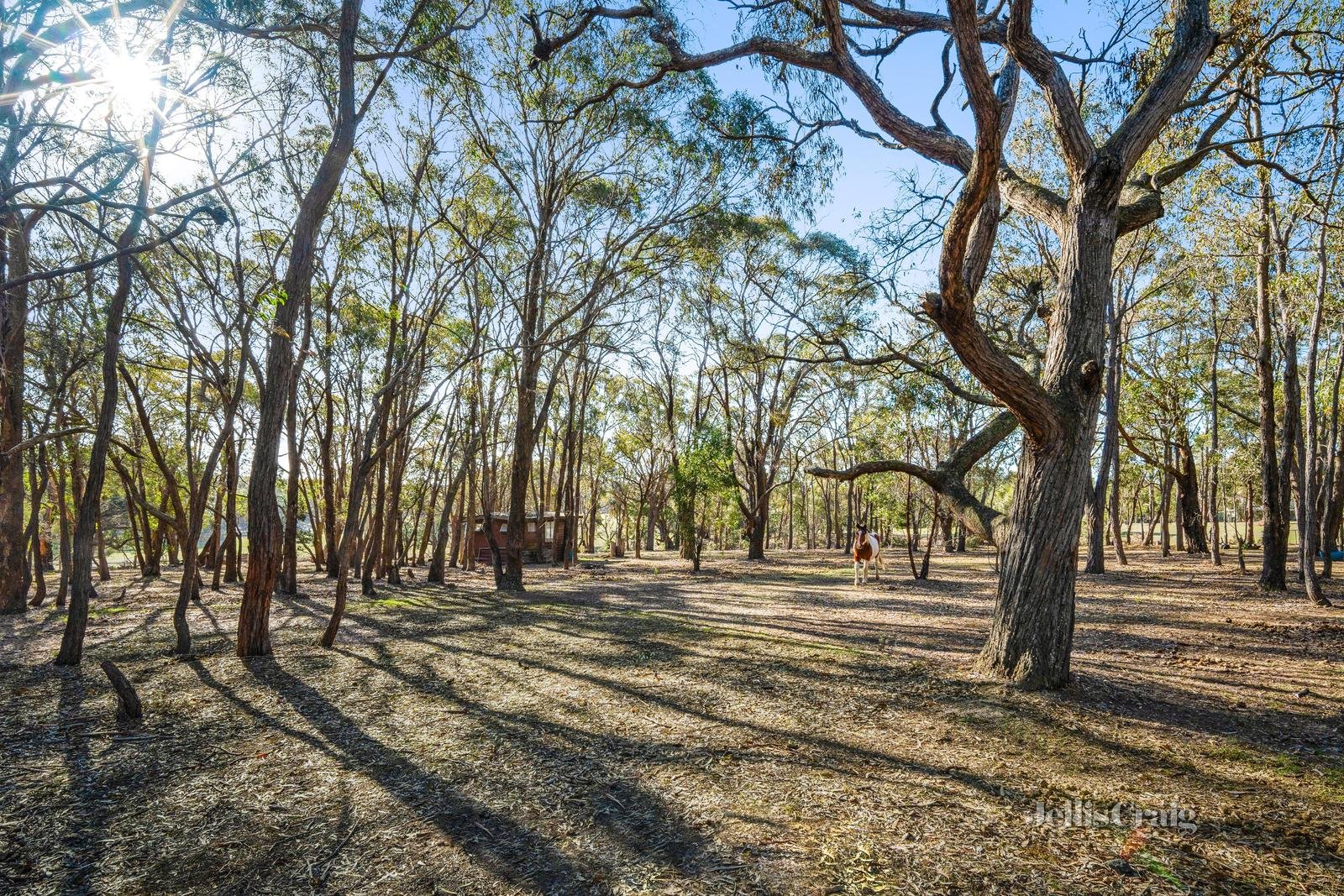 55 Acacia Road, Dereel image 6