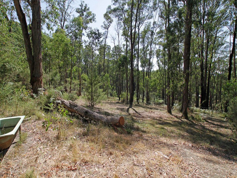 55 Banksia Court, Castella image 18