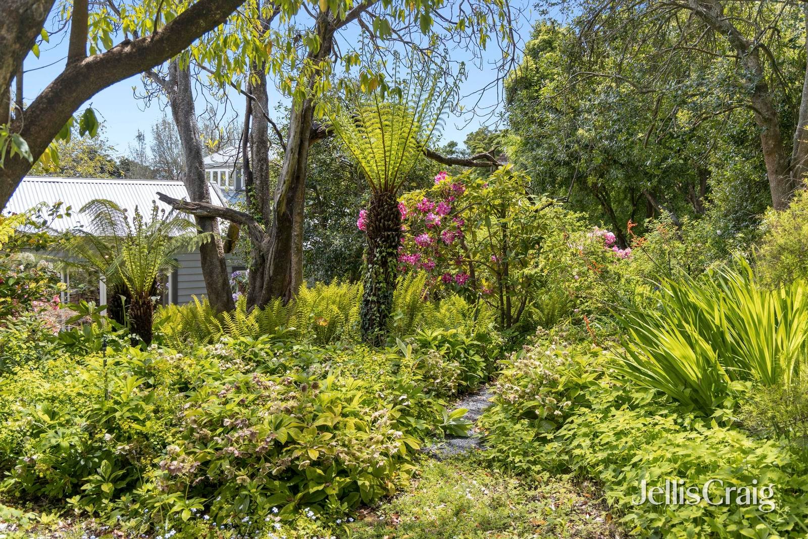 55 Central Springs Road, Daylesford image 28