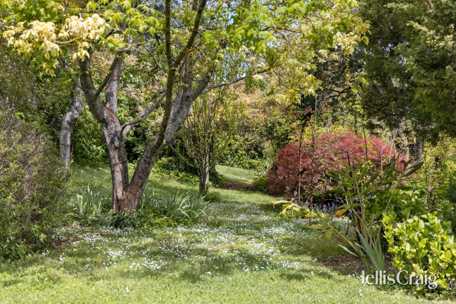 55 Central Springs Road, Daylesford image 29