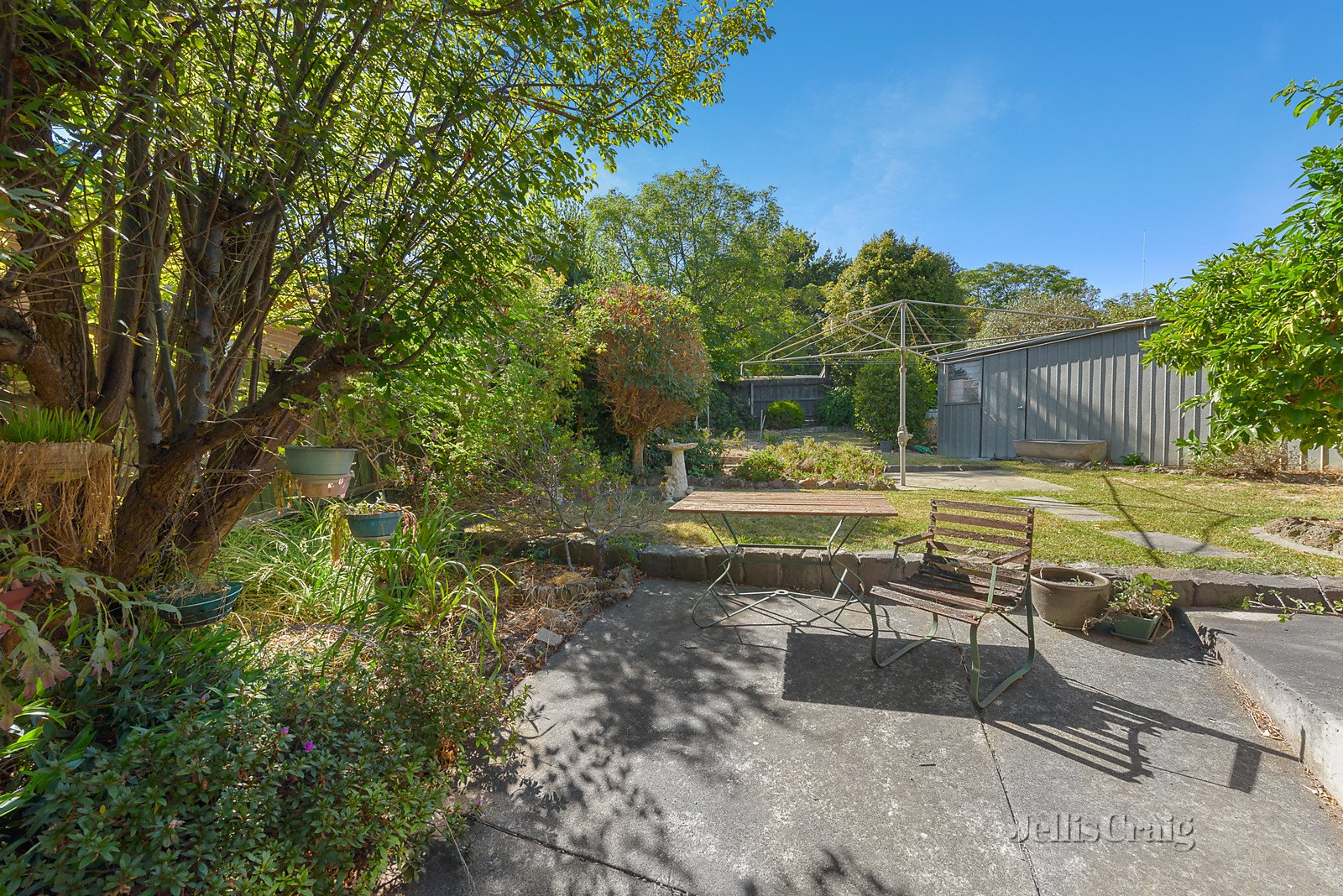 55 Devon Drive, Doncaster East image 4