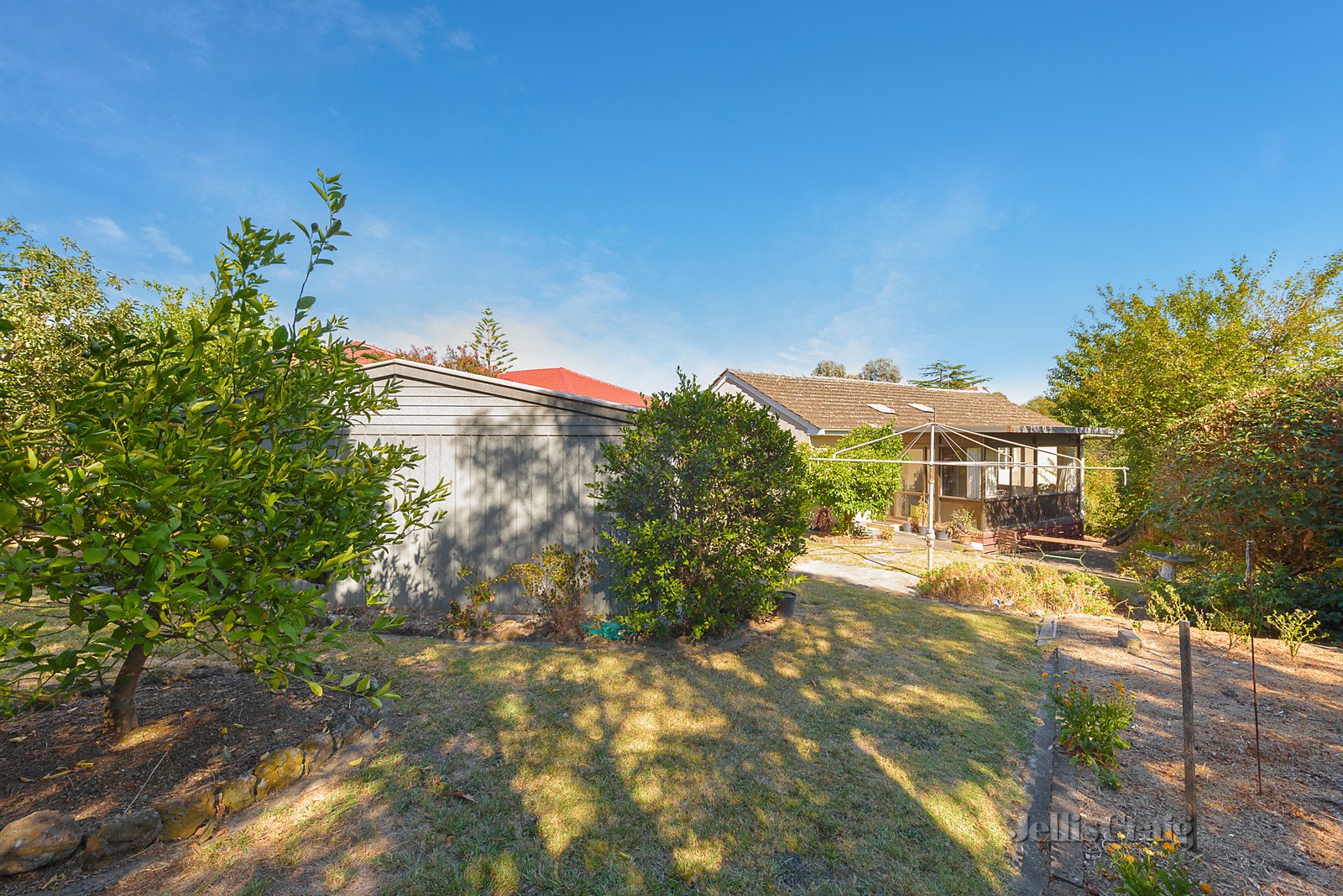 55 Devon Drive, Doncaster East image 5