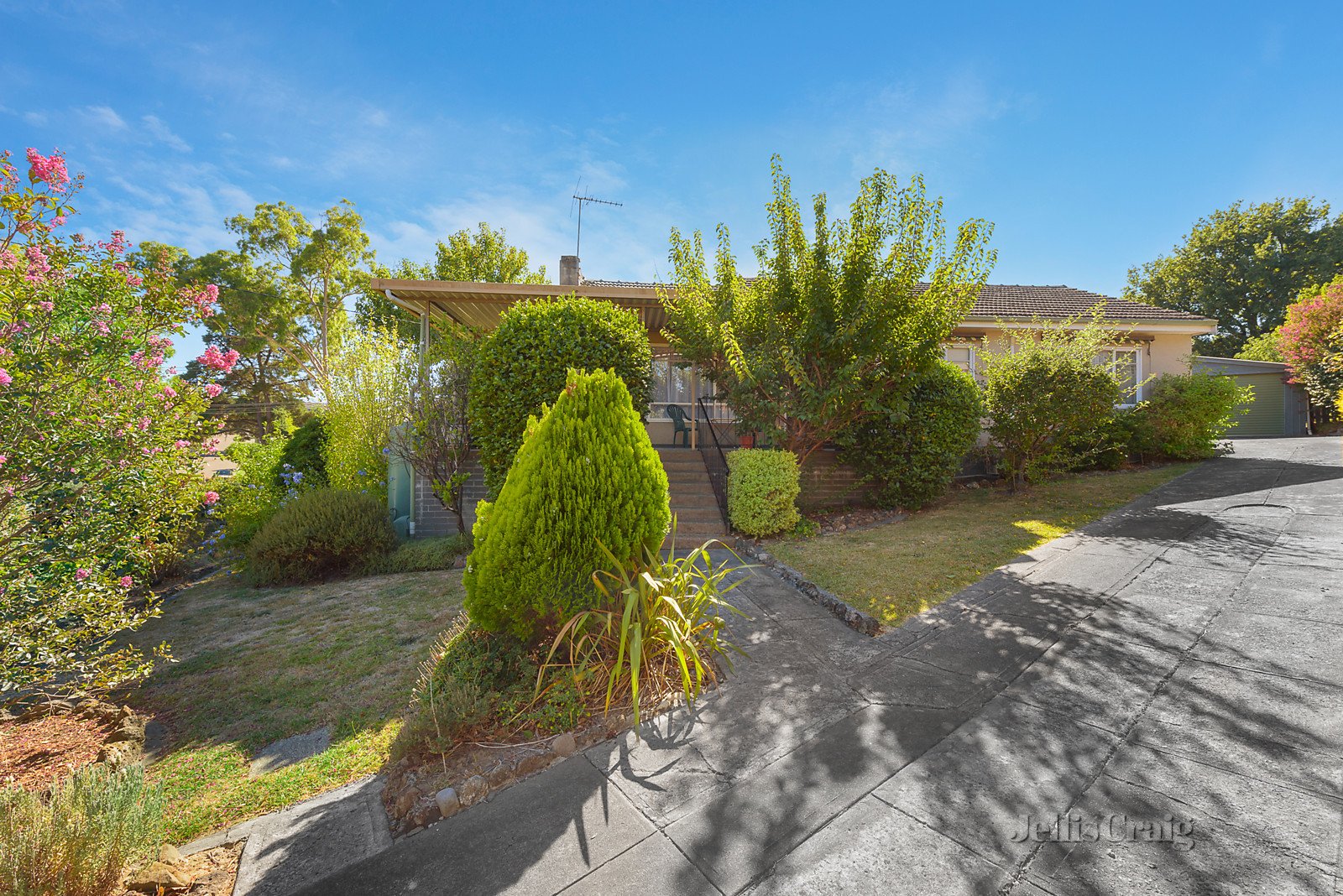 55 Devon Drive, Doncaster East image 6