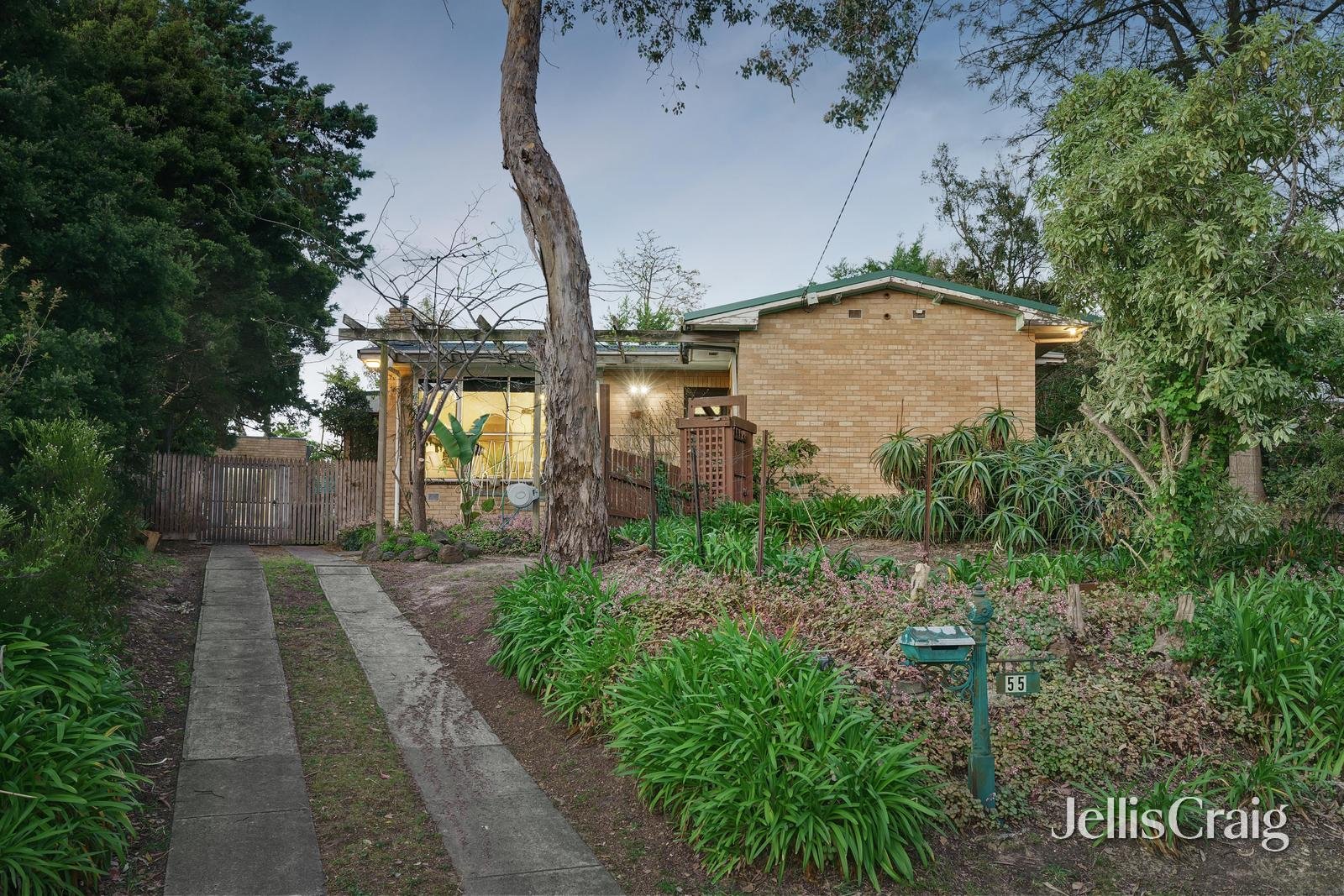 55 Fernside Avenue, Briar Hill image 11