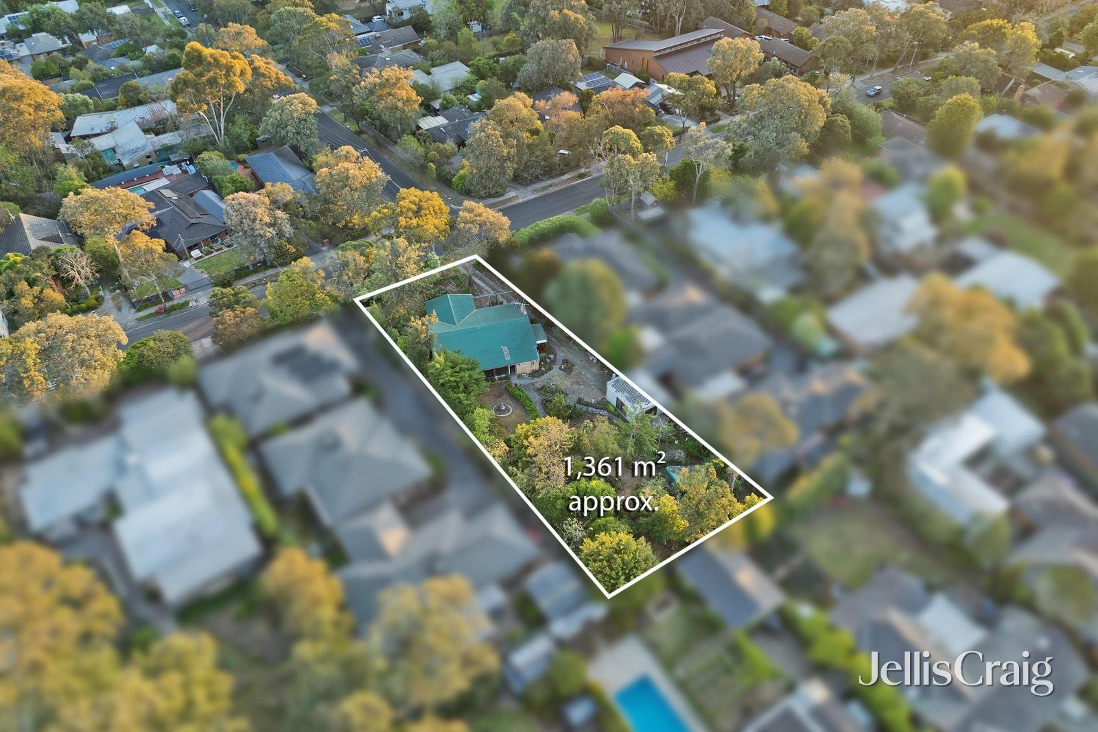 55 Fernside Avenue, Briar Hill image 13