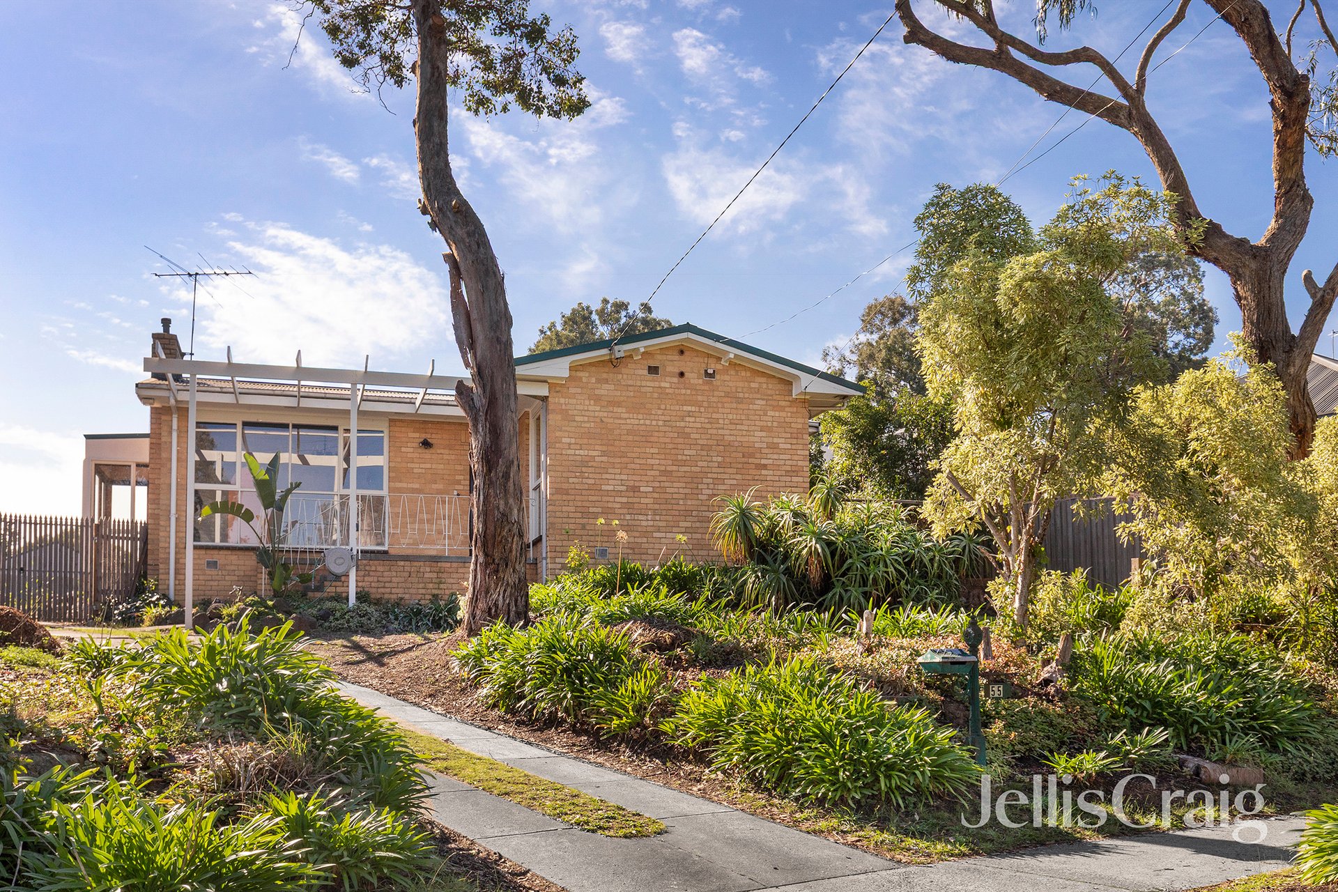 55 Fernside Avenue, Briar&nbsp;Hill image 1