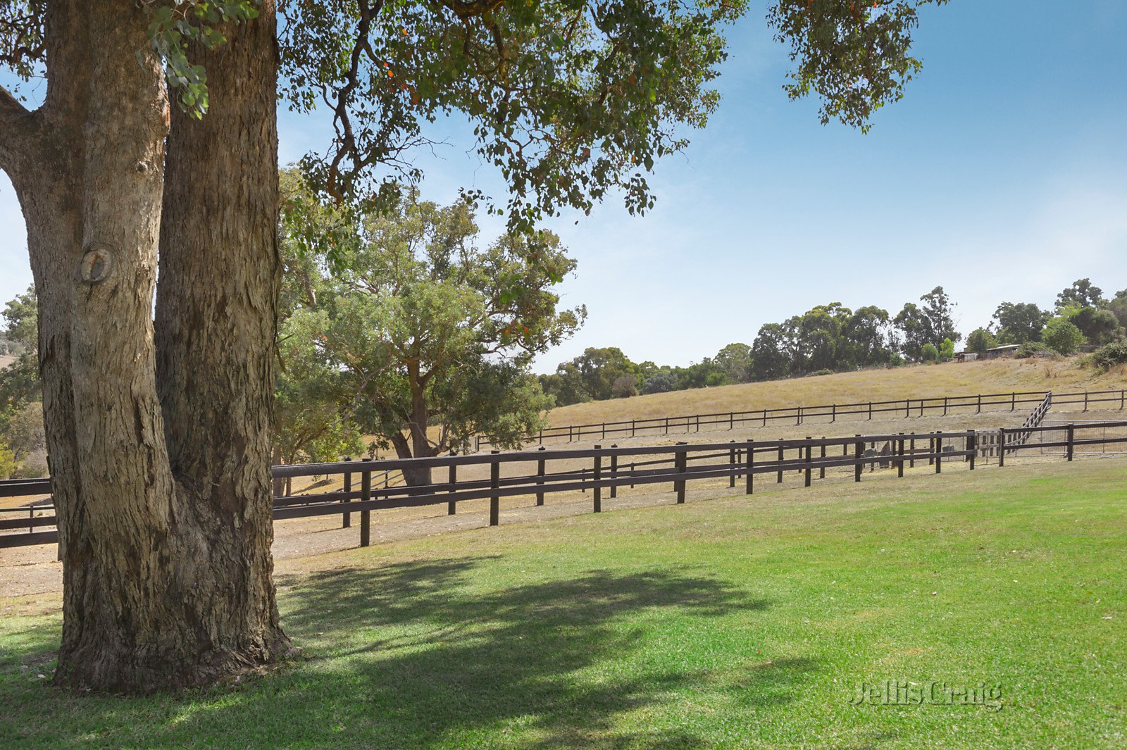 55 Graham Road, Kangaroo Ground image 20