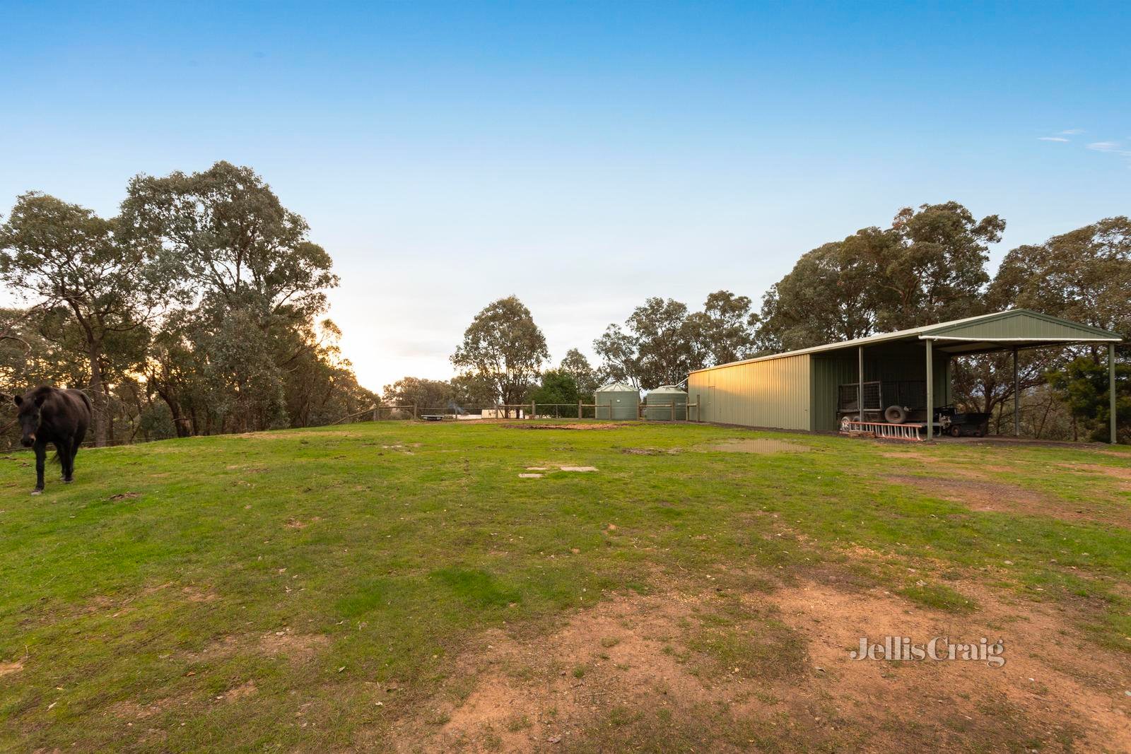 55 Halley Road, Panton Hill image 15