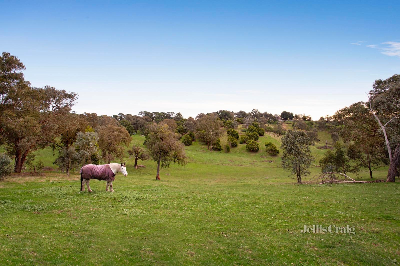 55 Halley Road, Panton Hill image 18