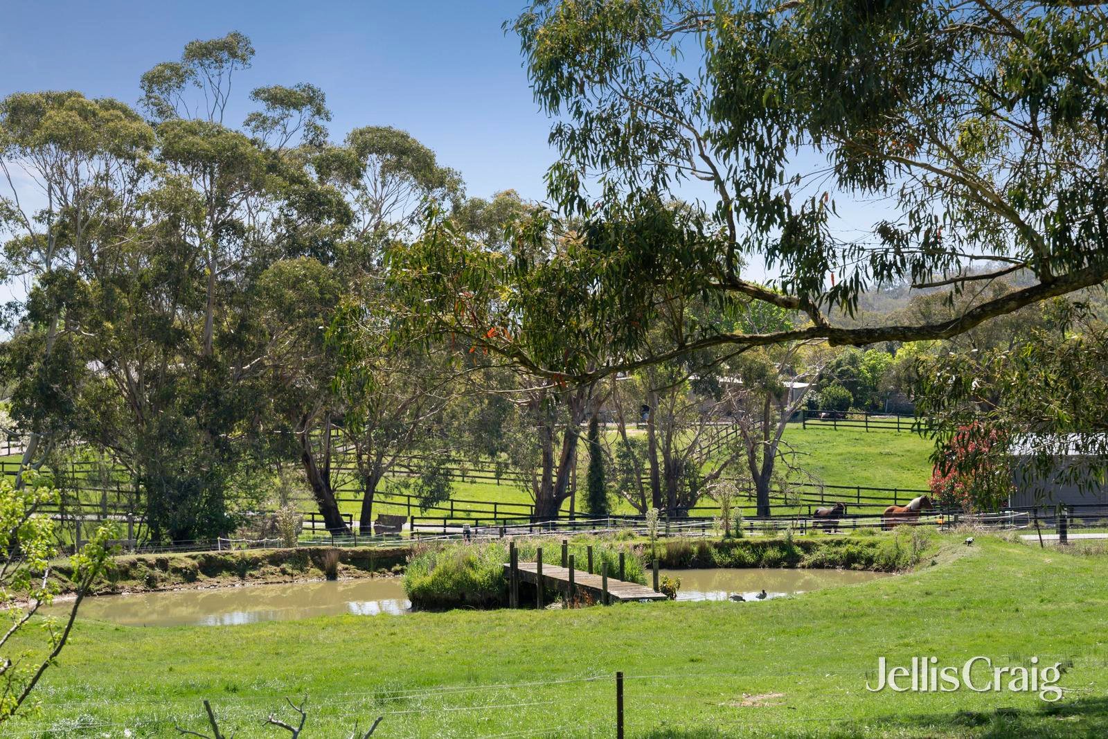 55 Hyne Street, Lilydale image 25