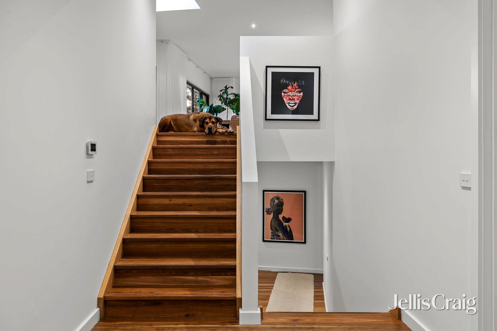 55 Ian Road, Mount&nbsp;Martha image 11
