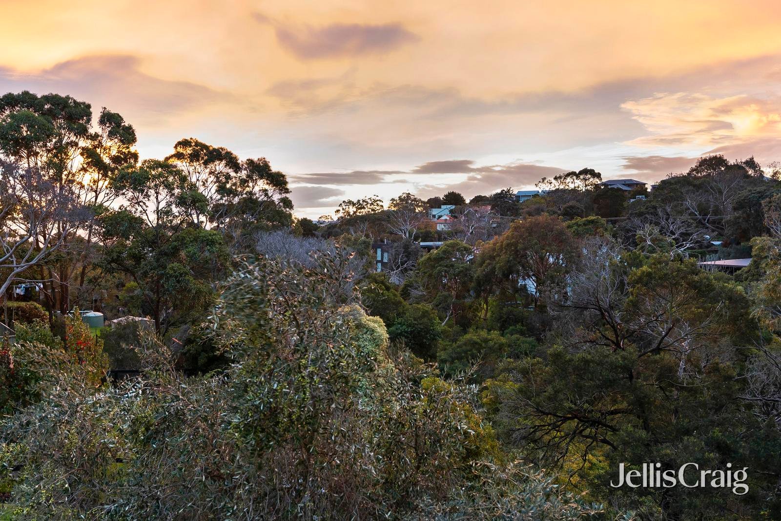 55 Ian Road, Mount&nbsp;Martha image 22