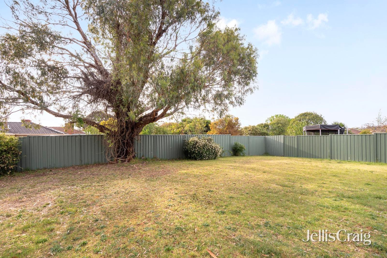 55 James Cook Drive, Diamond Creek image 12