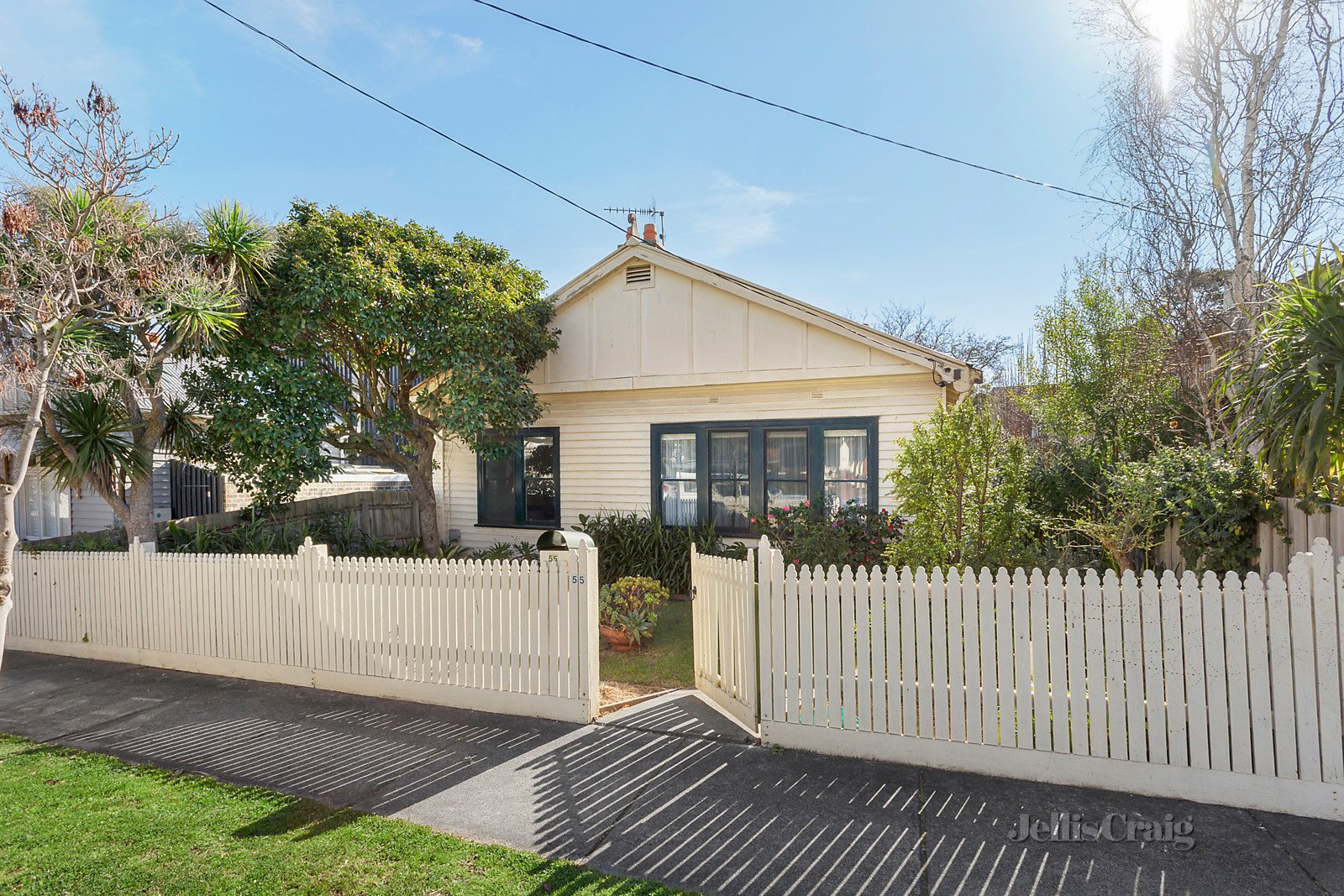 55 Lingwell Road, Hawthorn East image 7