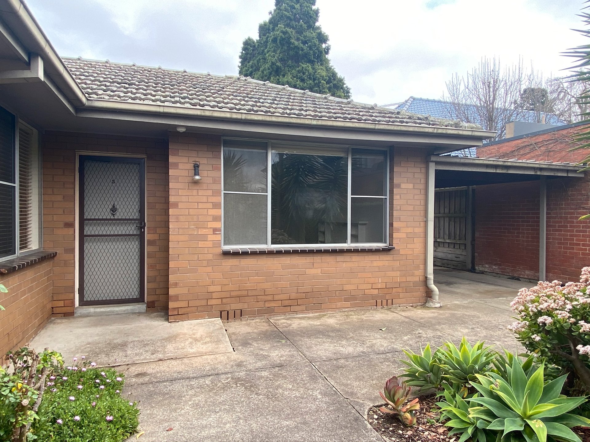 5/5 Mountain Grove, Kew image 1