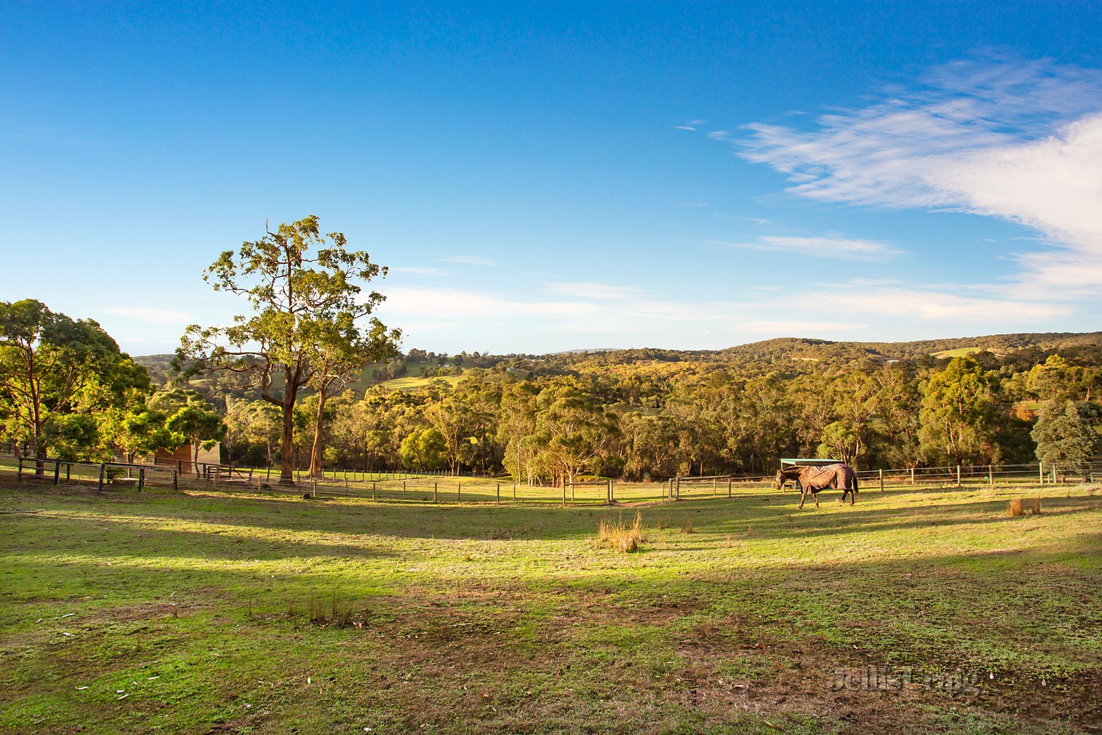 55 One Tree Hill Road, Smiths Gully image 12