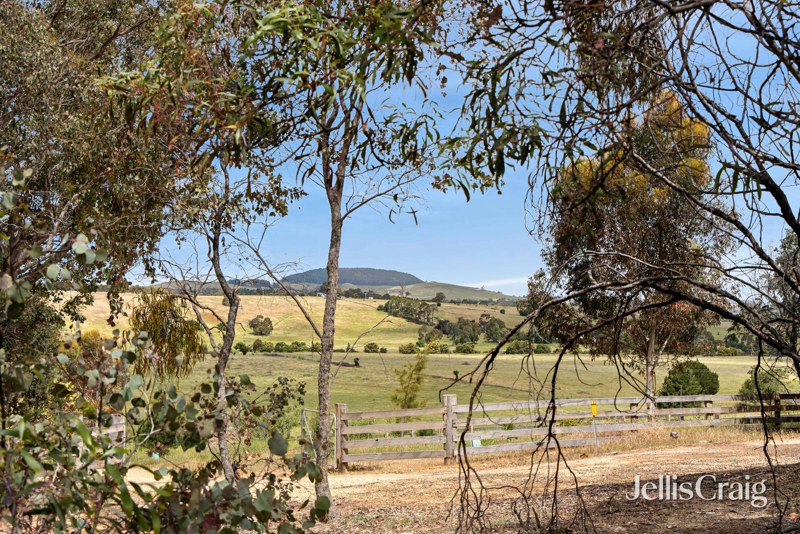 55 Steeles Road, Yandoit image 15