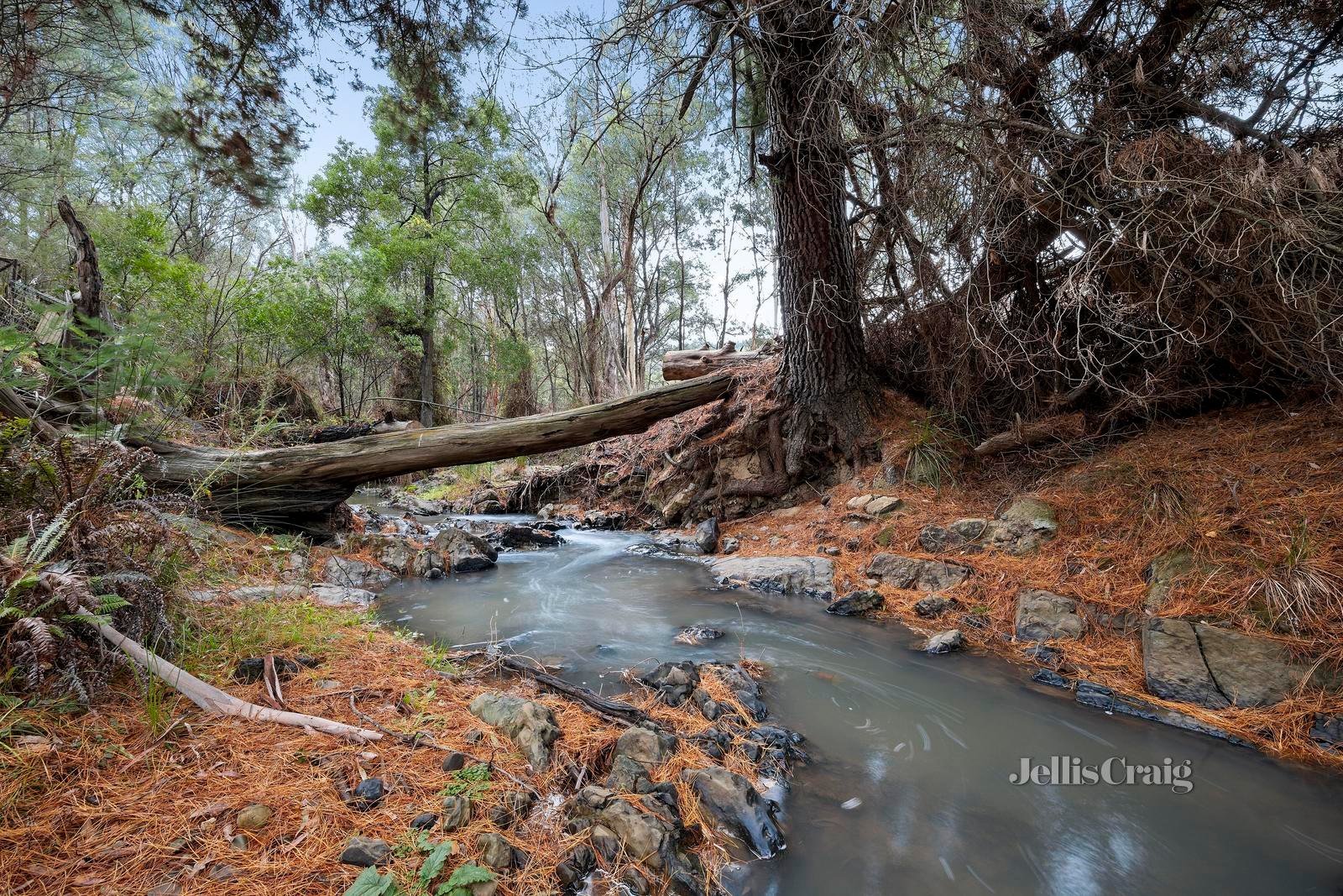 550 Healesville-Kinglake Road, Chum Creek image 16