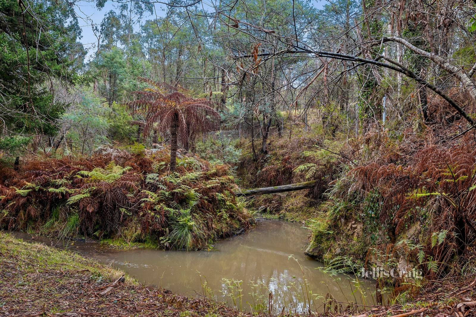 550 Healesville-Kinglake Road, Chum Creek image 17