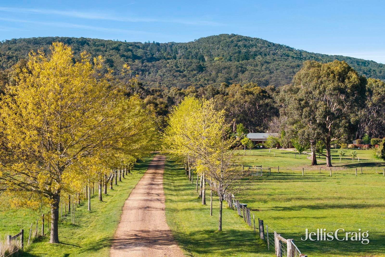 554 Romsey Road, Woodend image 13