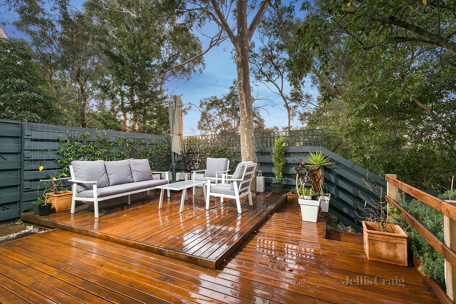 5/58b Looker Road, Montmorency image 3