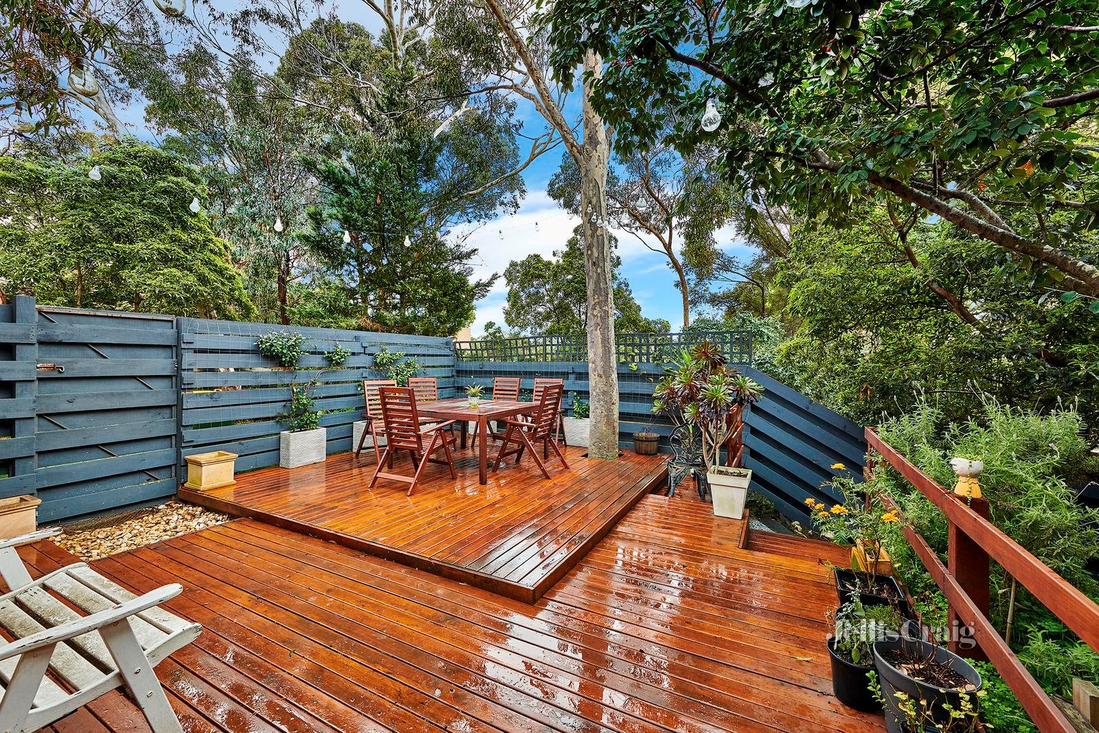 5/58B Looker Road, Montmorency image 7