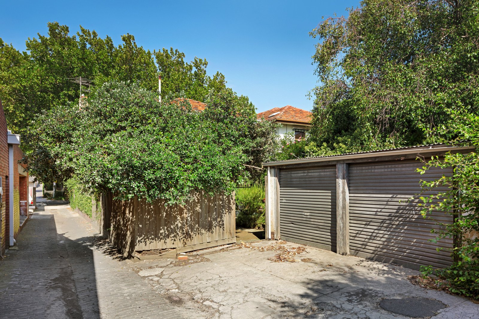 559 Orrong Road, Armadale image 5