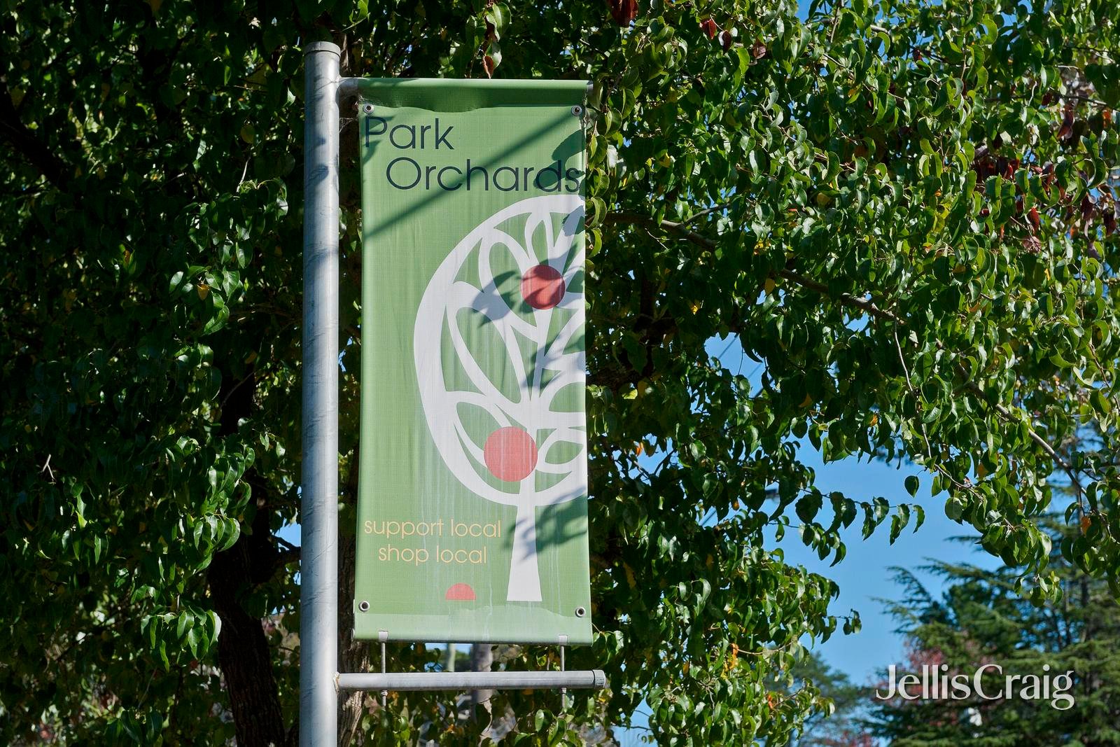 56-58 Williams Road, Park Orchards image 26