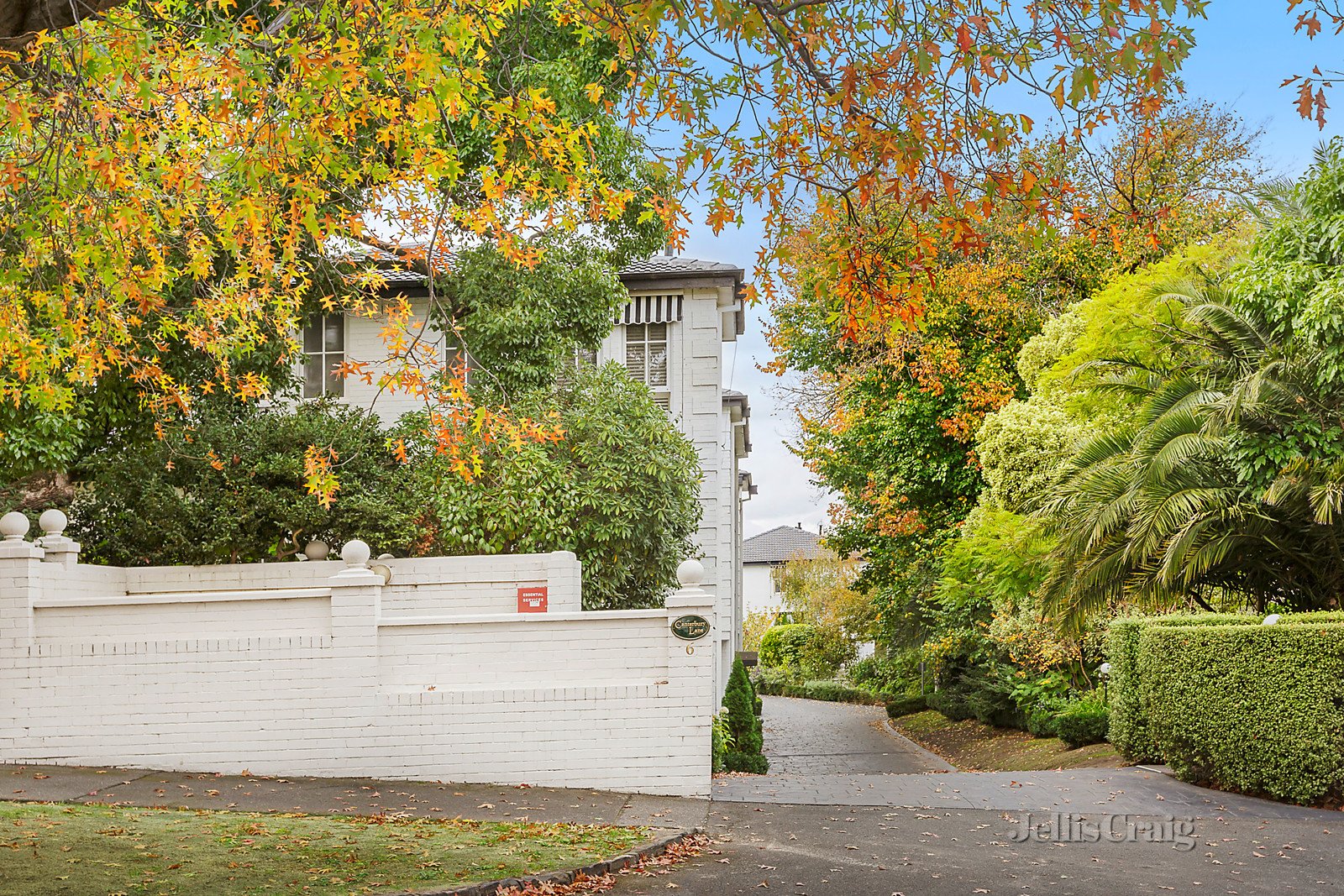 5/6 Balwyn Road, Canterbury image 8