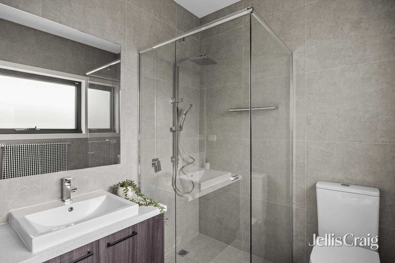 56 Essex Street, Pascoe&nbsp;Vale image 10