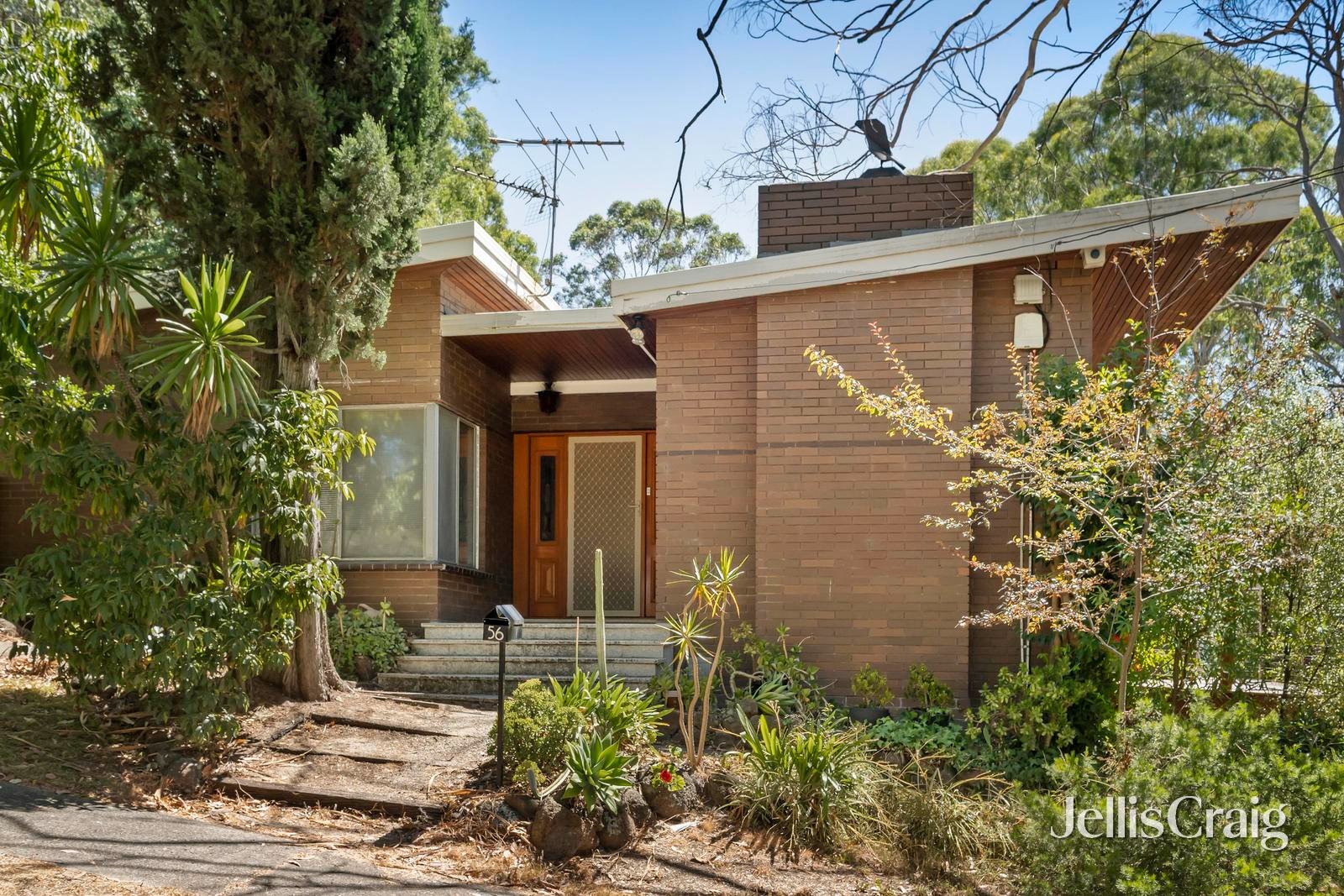 56 Lisbeth Avenue, Donvale image 2