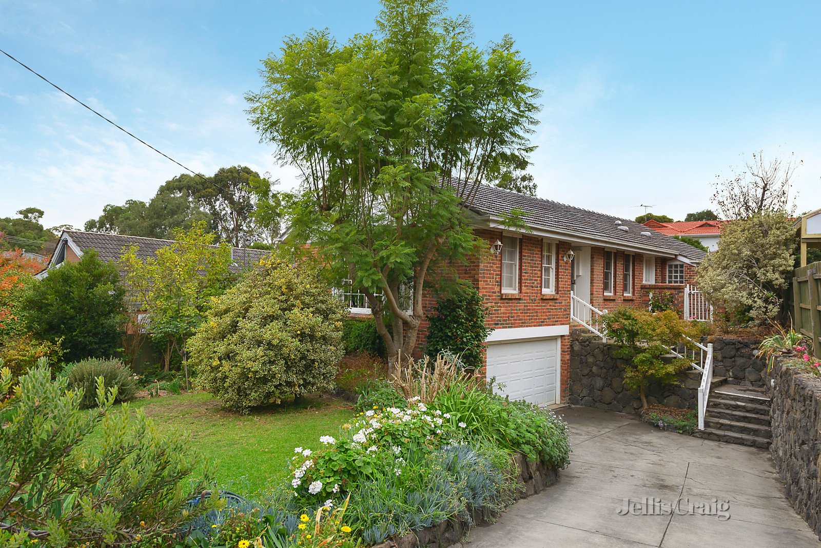 56 Milne Street, Templestowe image 6