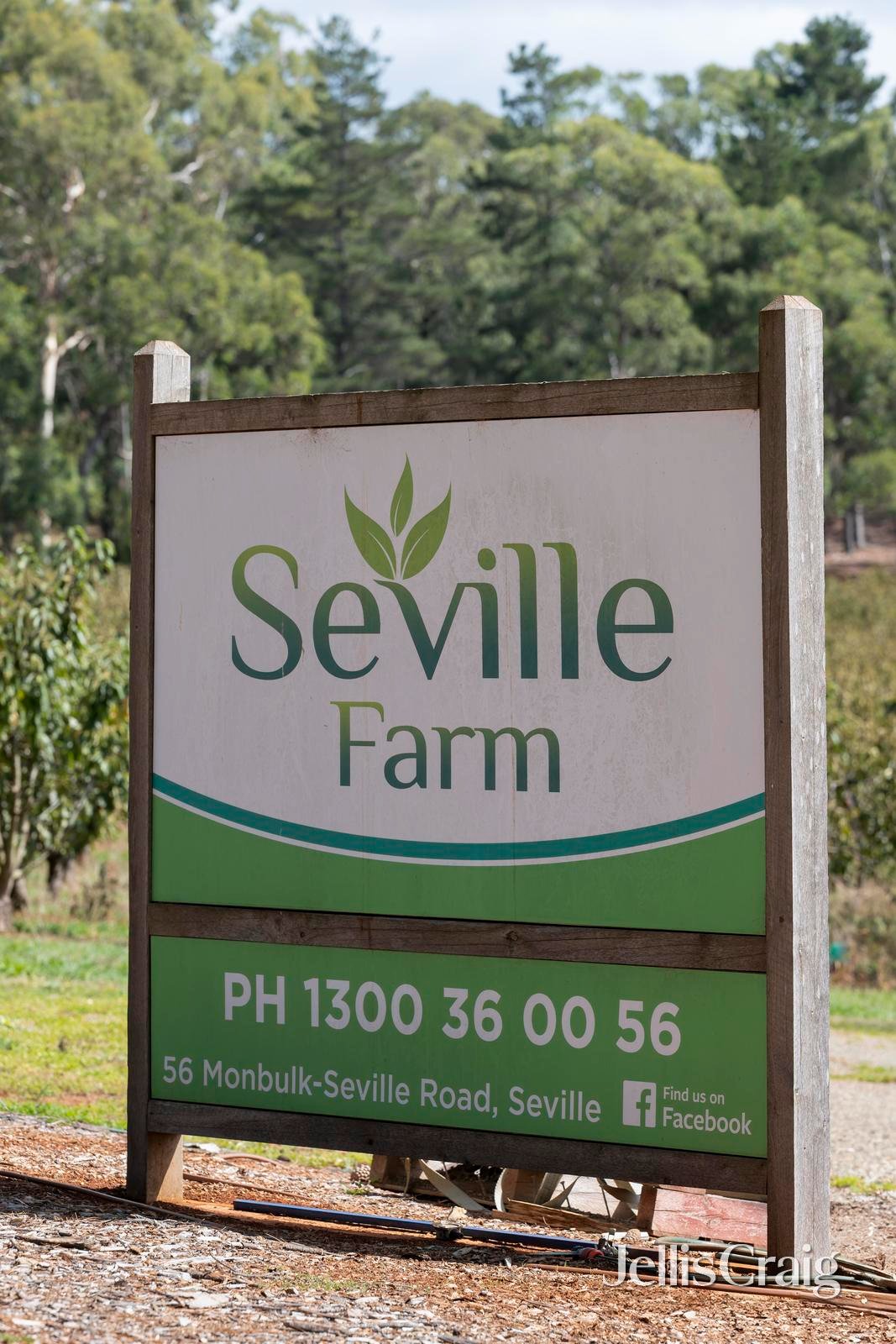 56 Monbulk-Seville Road, Seville image 2