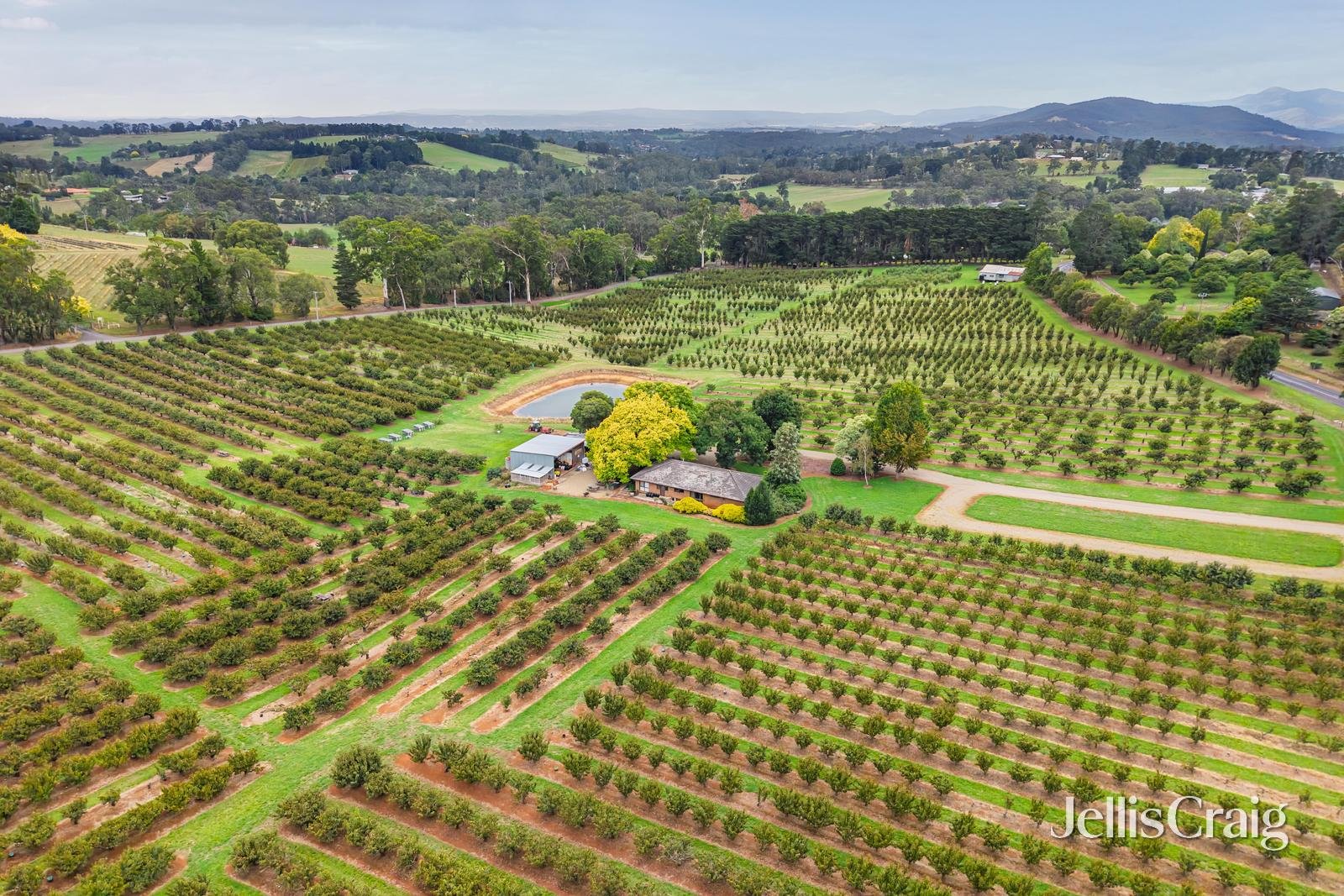 56 Monbulk-Seville Road, Seville image 4