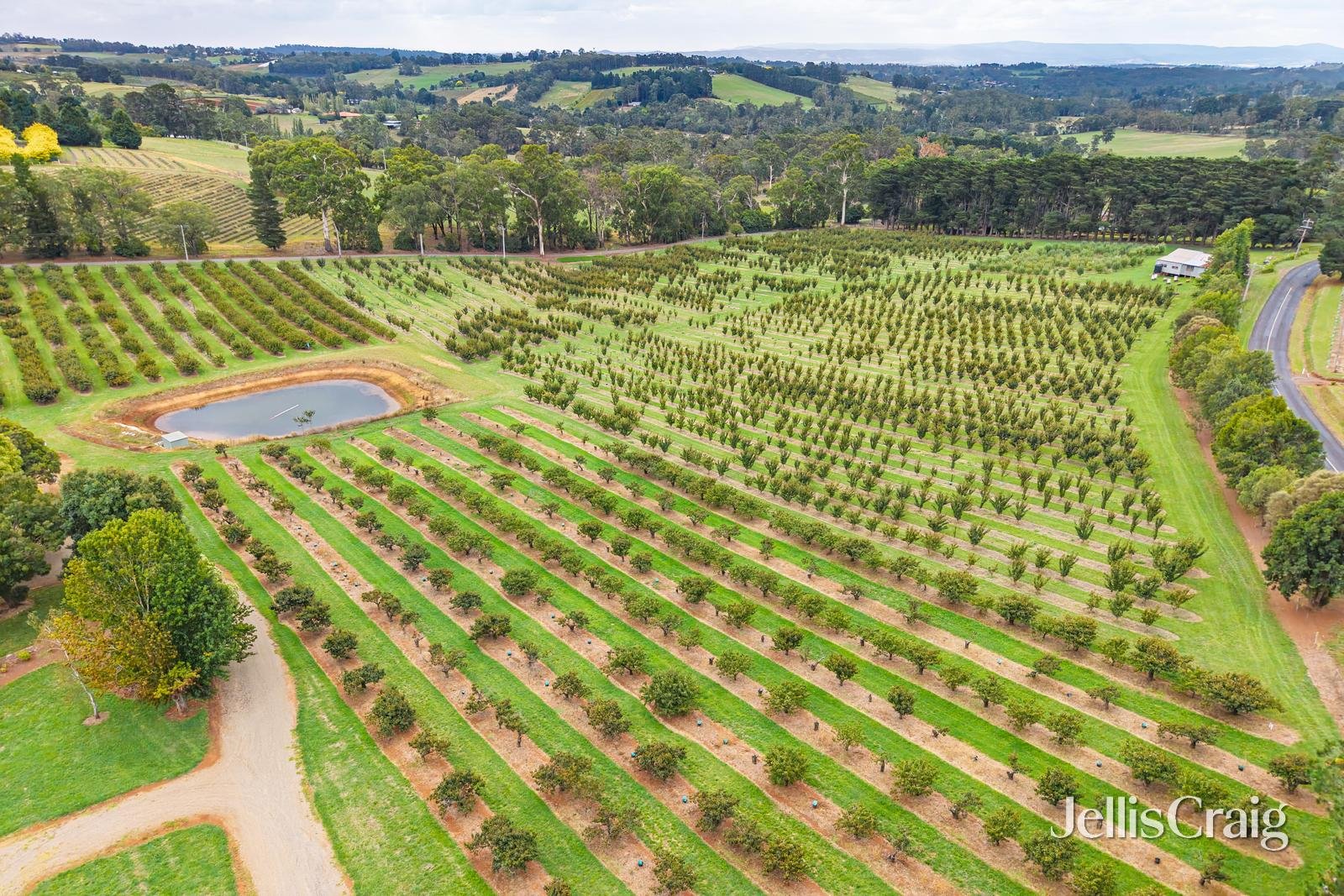 56 Monbulk-Seville Road, Seville image 5