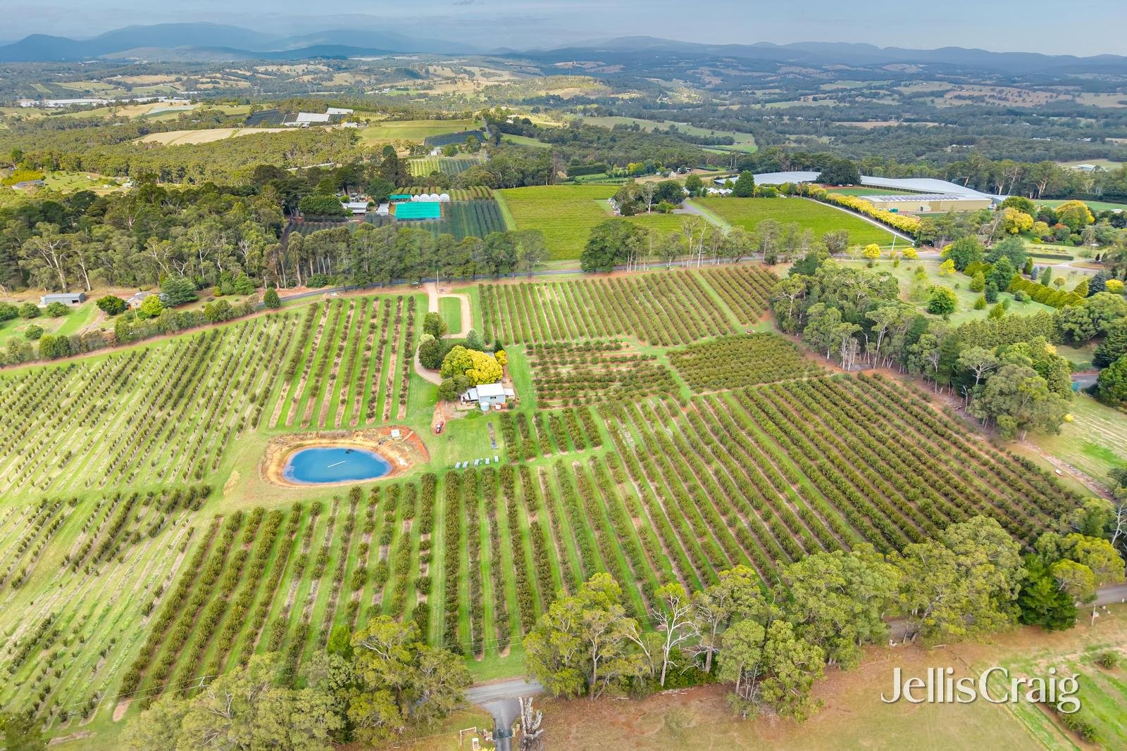 56 Monbulk-Seville Road, Seville image 6