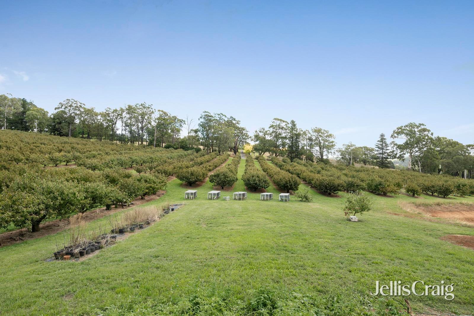 56 Monbulk-Seville Road, Seville image 21