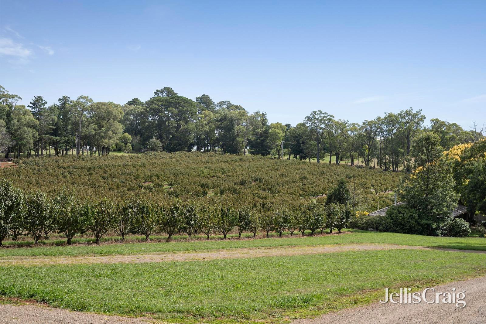 56 Monbulk-Seville Road, Seville image 22