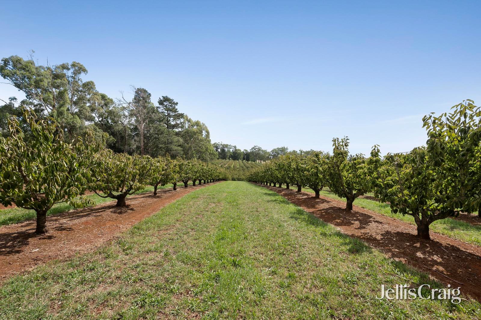 56 Monbulk-Seville Road, Seville image 23