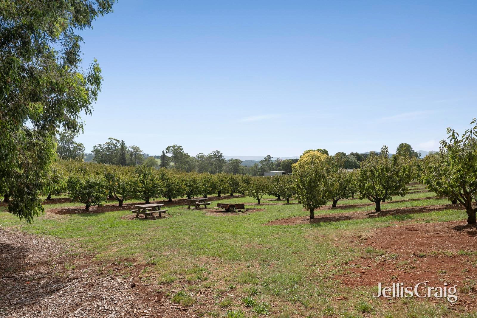 56 Monbulk-Seville Road, Seville image 24