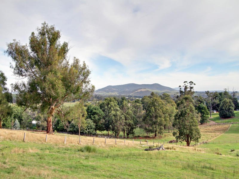 56 Mount Riddell Road, Healesville image 3