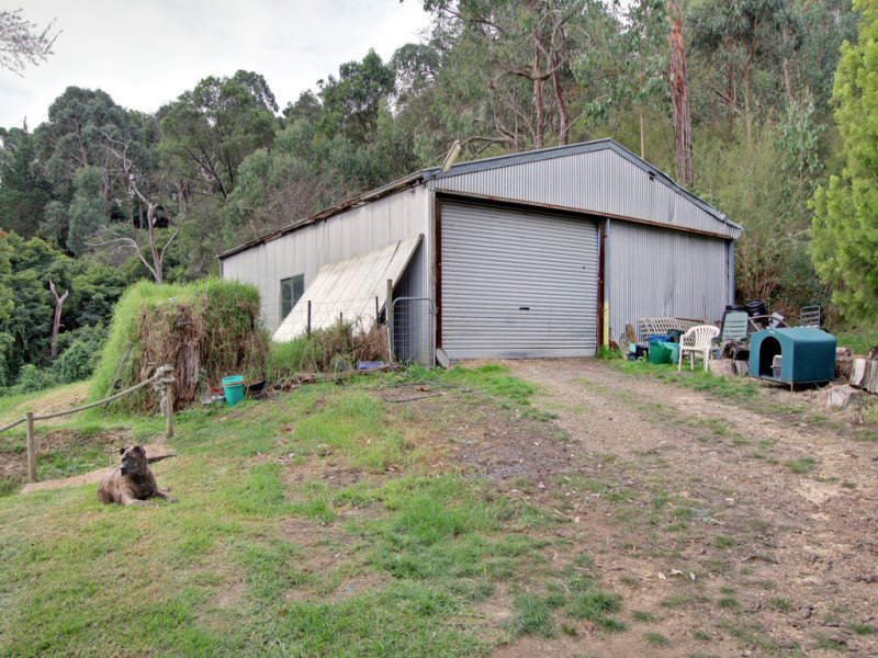 56 Mount Riddell Road, Healesville image 8