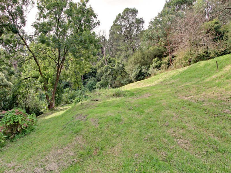 56 Mount Riddell Road, Healesville image 12