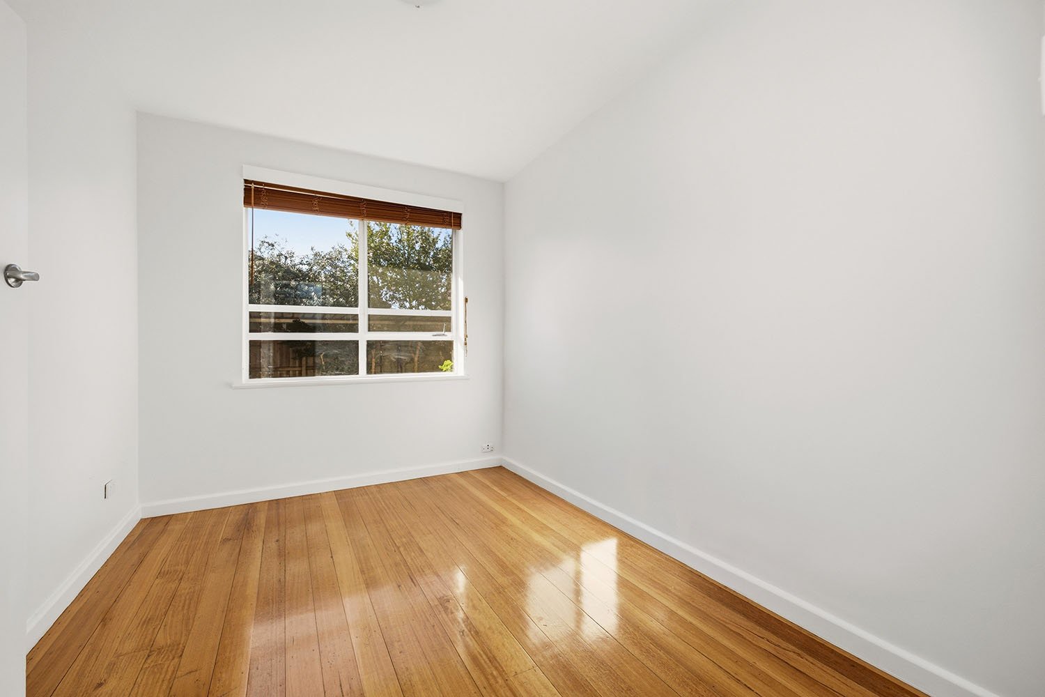 5/6 Newman Avenue, Carnegie image 5