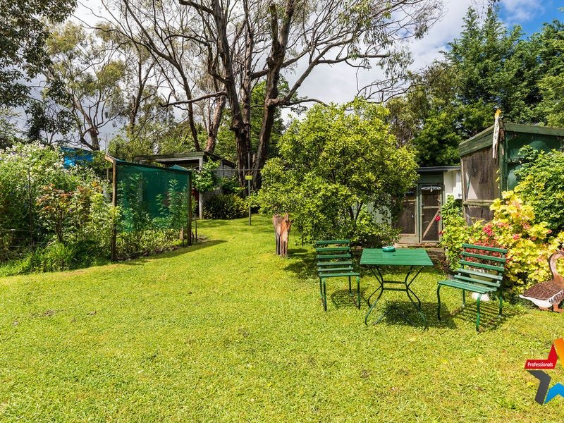 56 Timms Avenue, Kilsyth image 13