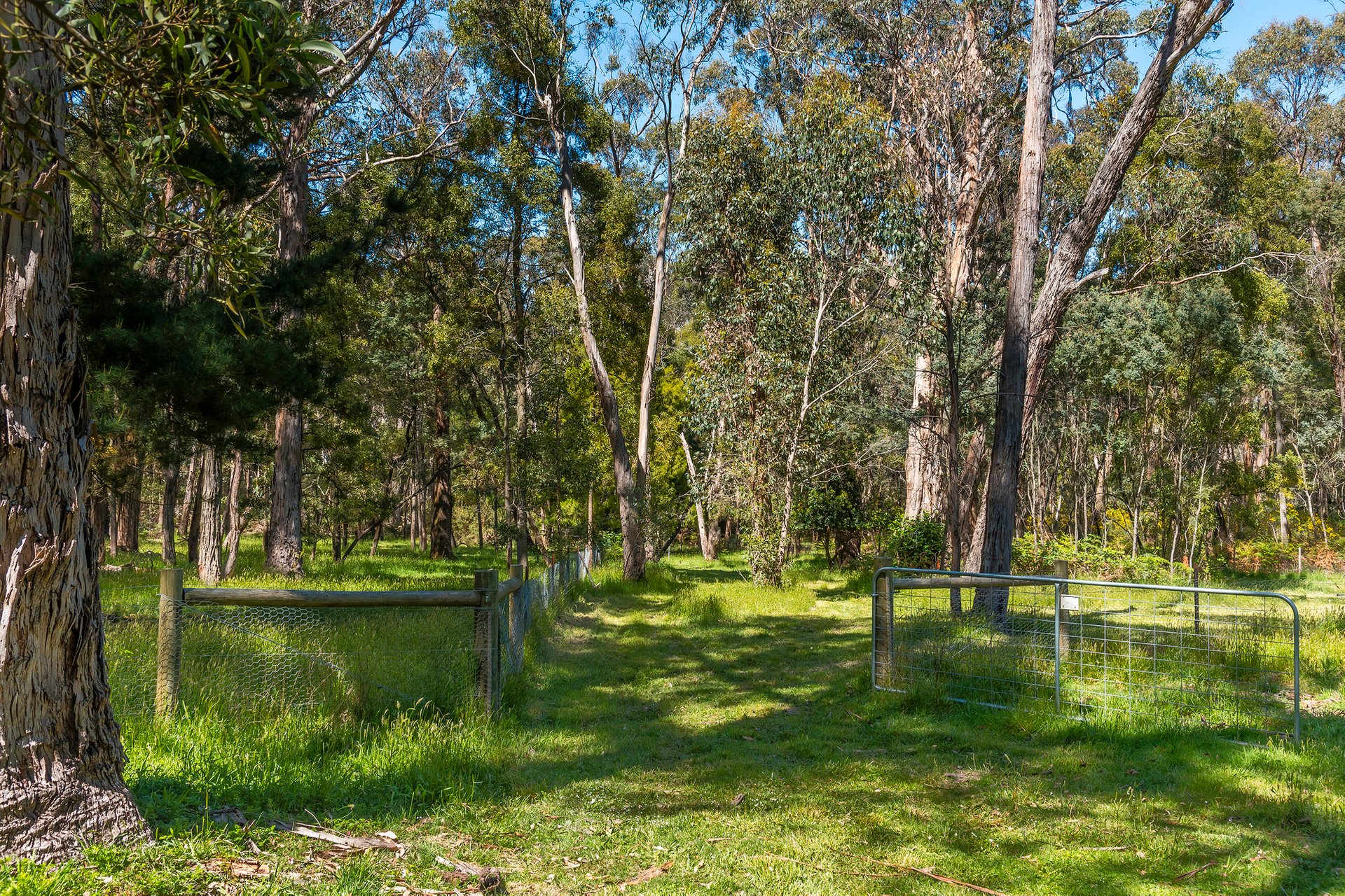 Property Gallery Thumbnail 18