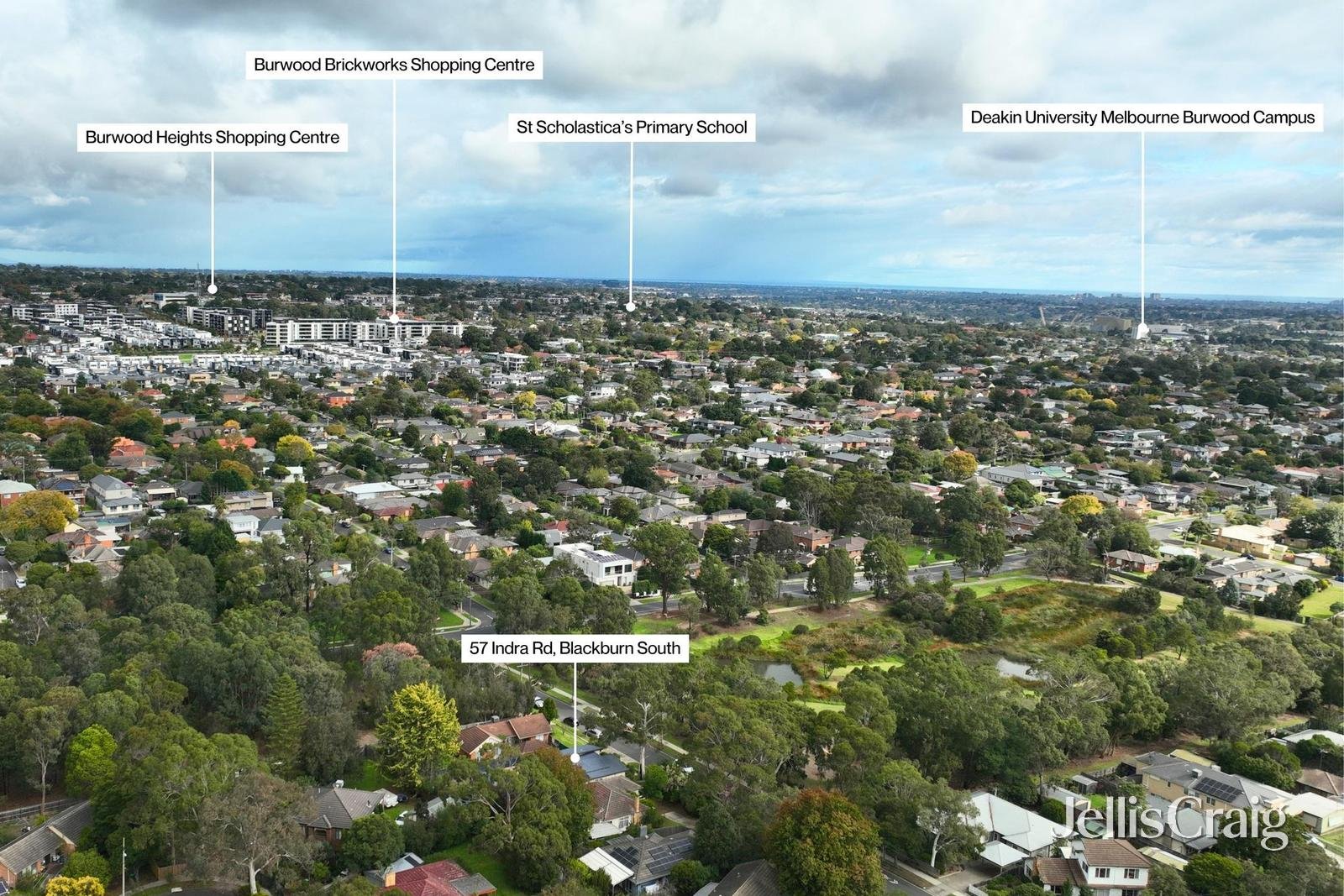 57 Indra Road, Blackburn&nbsp;South image 19