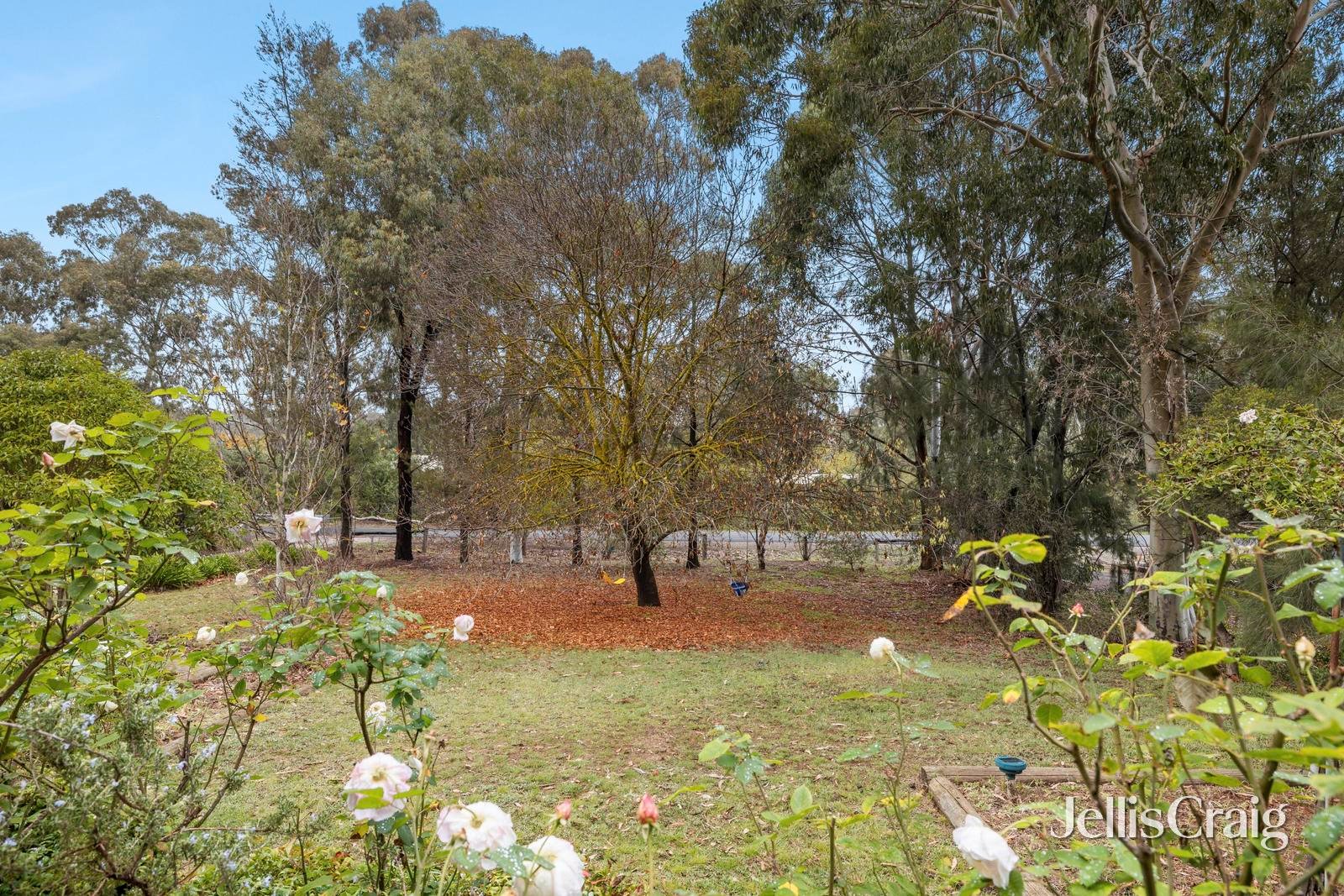 57 Moscript Street, Campbells&nbsp;Creek image 17