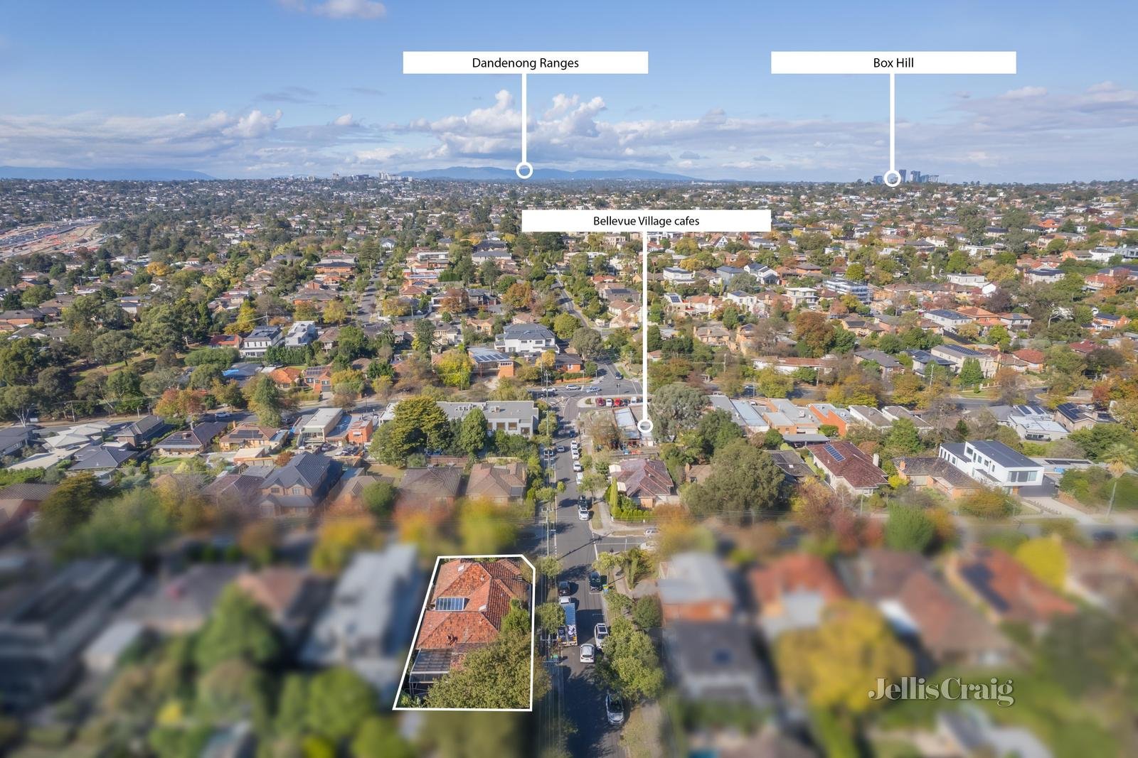 57 Ursa Street, Balwyn North image 14
